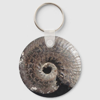 Beautiful pyrite ammonite fossil showing sutures keychain
