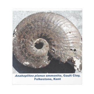 Beautiful pyrite ammonite fossil showing sutures notepad
