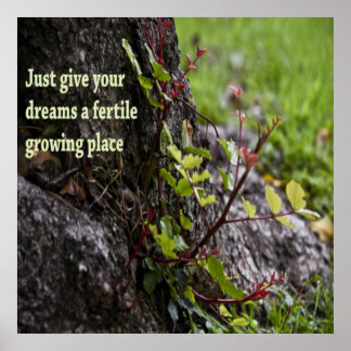 Beautiful Quotes Poster