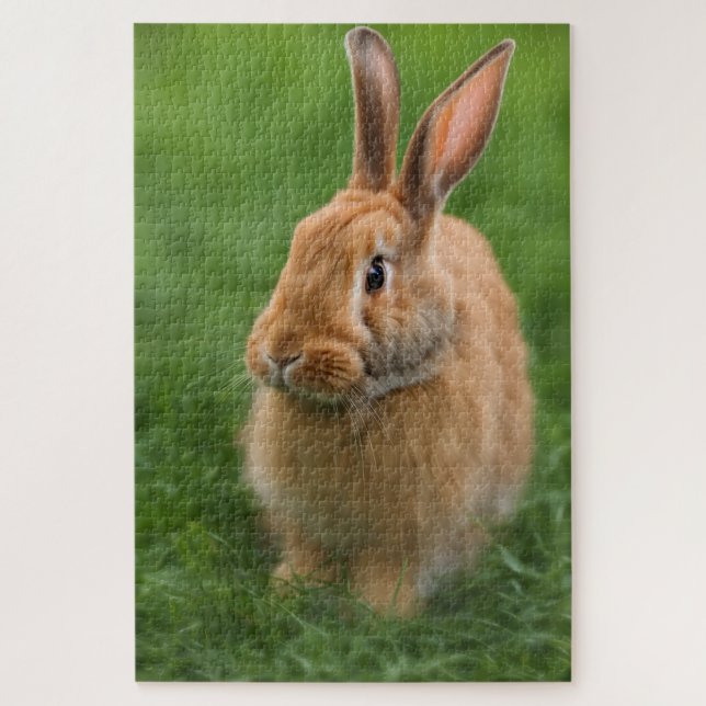 Beautiful Rabbit Jigsaw Puzzle (Vertical)