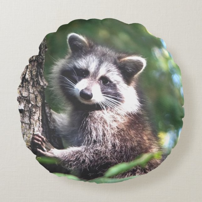Beautiful raccoon on the jungle round pillow (Front)
