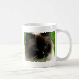Beautiful Ragdoll Cat Mug