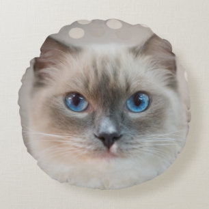 Beautiful Ragdoll Cat on Beige Round Pillow
