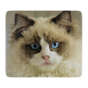 Beautiful Ragdoll Cat with Blue Eyes Cutting Board