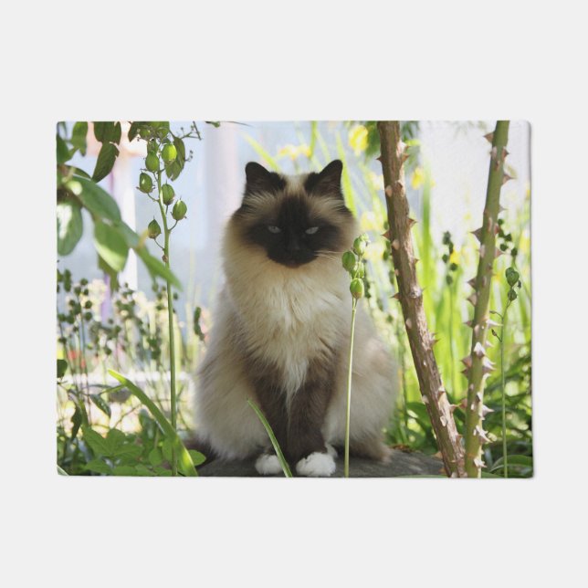 Beautiful Ragdoll Doormat (Front)