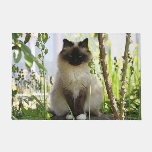 Beautiful Ragdoll Doormat (Front)