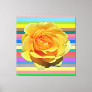 Beautiful rainbow rose canvas print