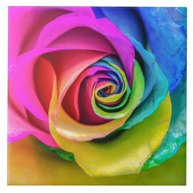 Beautiful Rainbow Rose Ceramic Tile (Front)