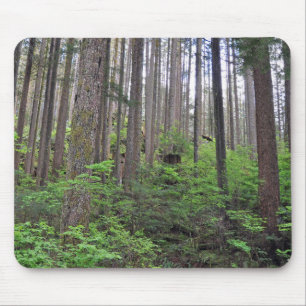 Beautiful rainforest mouse pad