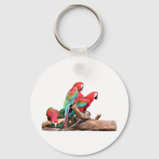 beautiful red and blue parrots keychain