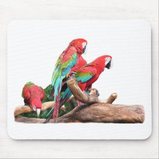 beautiful red and blue parrots mouse pad