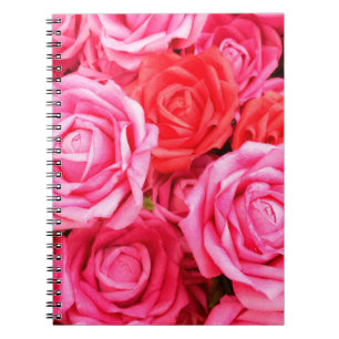 Beautiful red and pink roses notebook