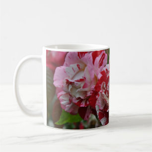 Beautiful red and white ripple roses coffee mug