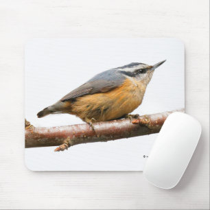 Beautiful Red-Breasted Nuthatch Songbird Mouse Pad
