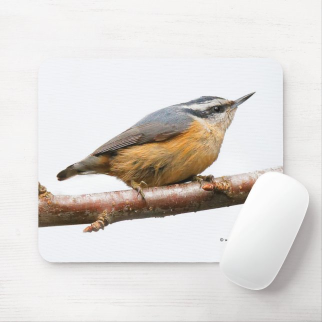 Beautiful Red-Breasted Nuthatch Songbird Mouse Pad (With Mouse)