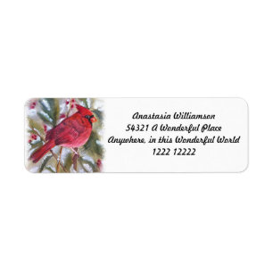BEAUTIFUL RED CARDINAL