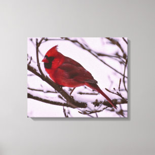 Beautiful Red Cardinal in a Snow Filled Tree Canvas Print