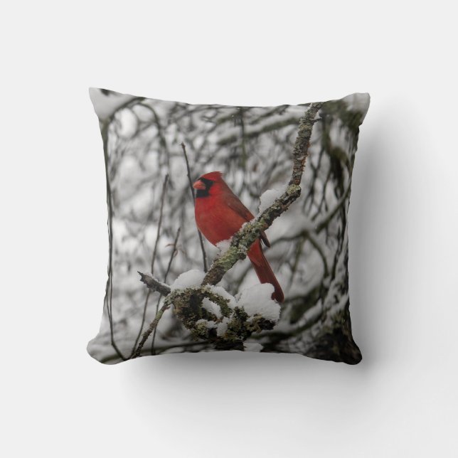 Beautiful Red Cardinal in a Snow Filled Tree Throw Pillow (Front)