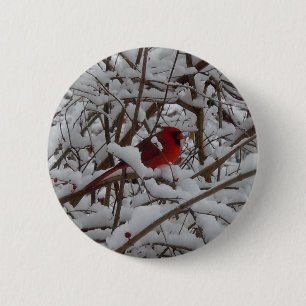 Beautiful Red Cardinal in Snow Filled Tree Button