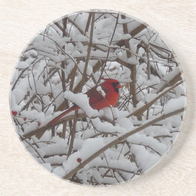 Beautiful Red Cardinal in Snow Filled Tree Coaster (Front)