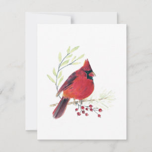 Beautiful Red Cardinal Note Card