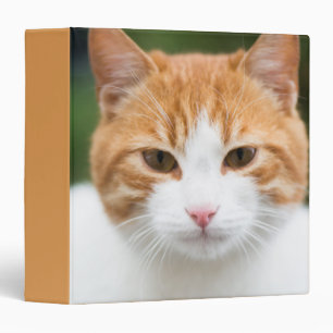Beautiful red cat binder
