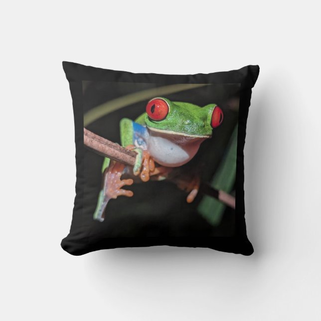 Beautiful Red Eyed Tree Frog on a Branch Throw Pillow (Front)