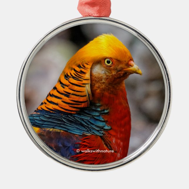 Beautiful Red Golden Pheasant Gamebird Metal Ornament (Front)