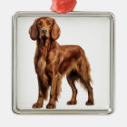 BEAUTIFUL RED IRISH SETTER DOG