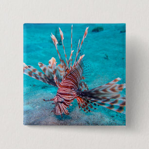 Beautiful Red Lion Fish 2 Inch Square Button