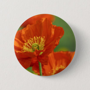 Beautiful Red Poppy 2 Inch Round Button
