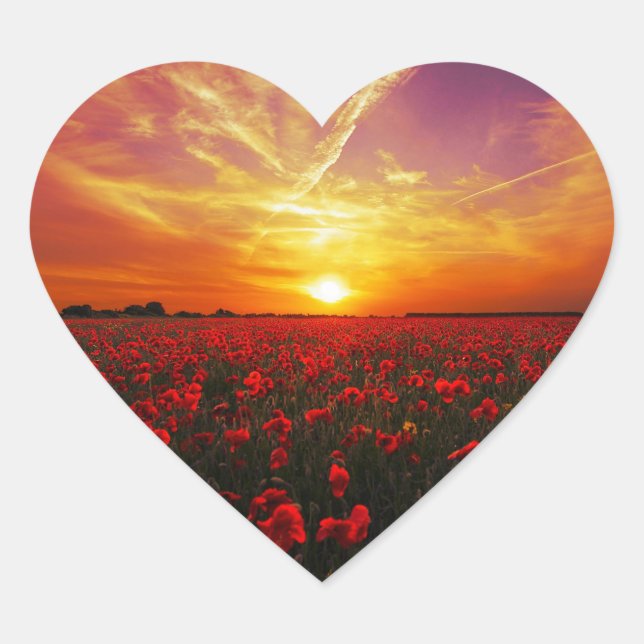 Beautiful red poppy flower field sunset heart sticker (Front)