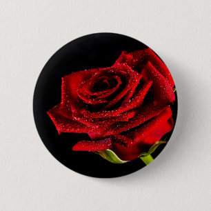 Beautiful red rose 2 inch round button