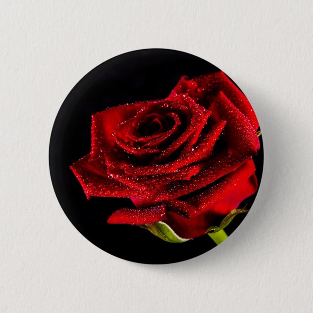 Beautiful red rose 2 inch round button (Front)