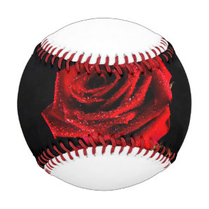 Beautiful red rose baseball