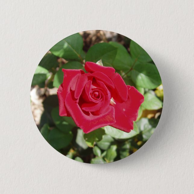 Beautiful Red Rose Button (Front)