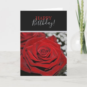 Beautiful Red Rose Card