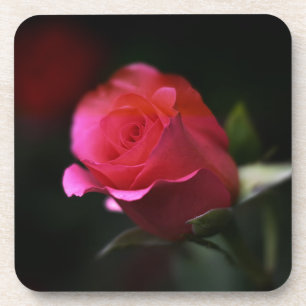 Beautiful Red Rose Coaster