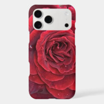 Beautiful red rose iphone 11 Pro Max Barely there
