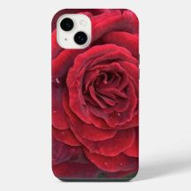 Beautiful red rose iphone 14 Plus barely there