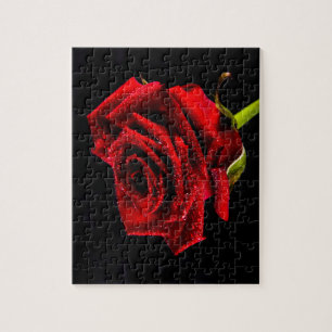Beautiful red rose jigsaw puzzle