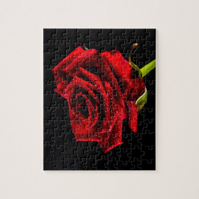 Beautiful red rose jigsaw puzzle (Vertical)