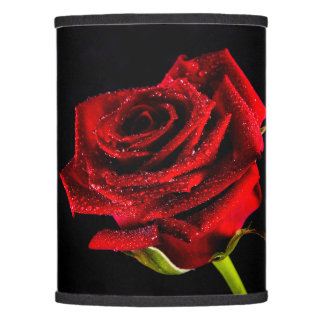 Beautiful red rose lamp shade