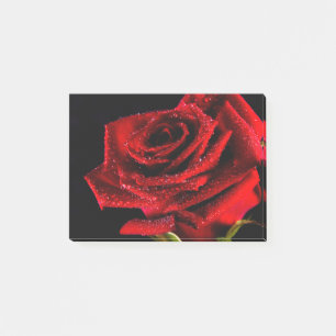 Beautiful red rose post-it notes