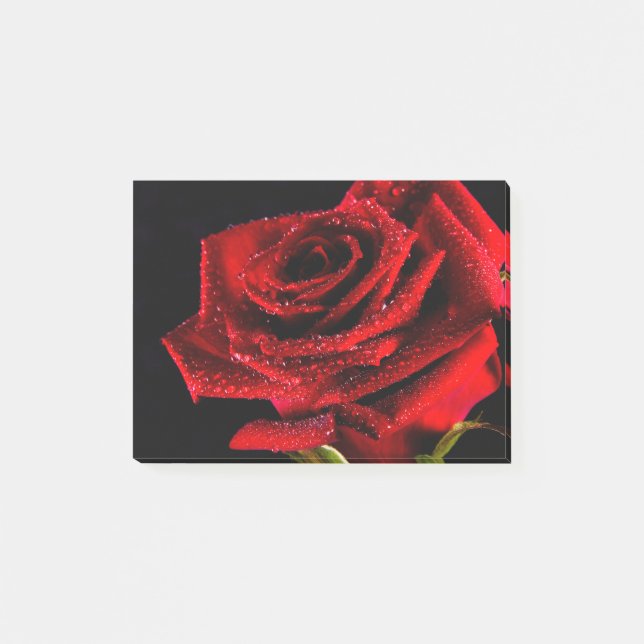 Beautiful red rose post-it notes (Front)