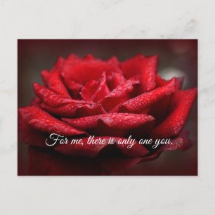 Beautiful Red Rose Postcard  Customizable Message