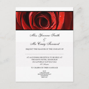 Beautiful Red Rose Wedding Evening Reception-White Invitation