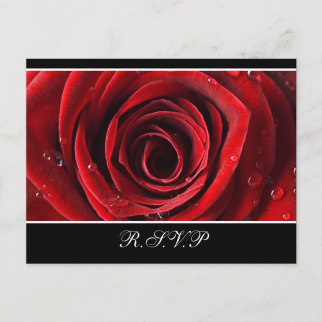 Beautiful Red Rose Wedding RSVP -Black Invitation Postcard (Front)
