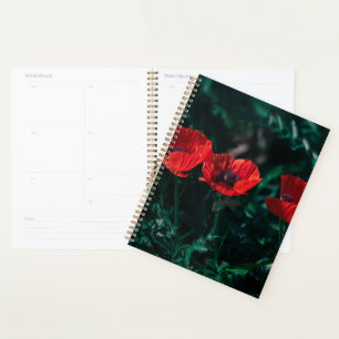 Beautiful Red Three Poppy Flowers Planner