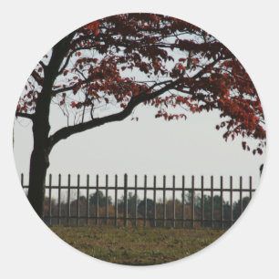 Beautiful Red Tree Autumn Photo Classic Round Sticker